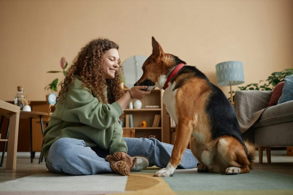 pet ID tag, High quality dog id tags, Unique Pet ID tags, ID tags & accessories
